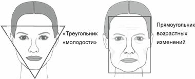 Возрастные изменения овала лица Возрастные изменения овала лица